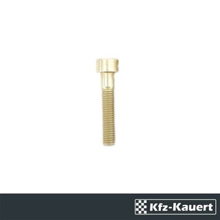 FWK cap screws for pressure plate clutch suitable for Porsche 911 72-86