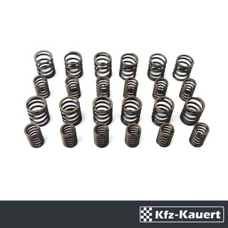 FWK 12 set valve springs suitable for all Porsche 911 964 valve spring