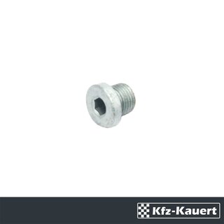 Ml screw plug M10 suitable for Porsche 928 986 996 99T 997-1 997T
