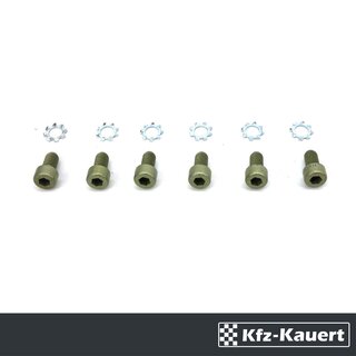 Ml 6x Zylinderschraube + Zahnscheibe passend fr 911 70-71 fr Trscharnier